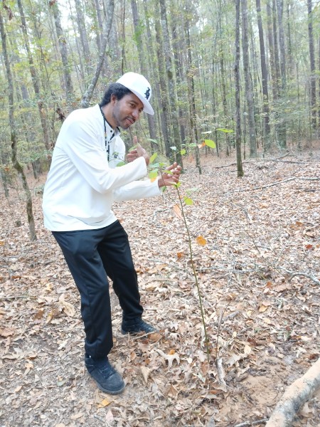 Planting Trees